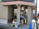 木村質店