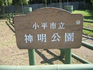 画像1