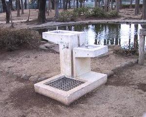 画像13