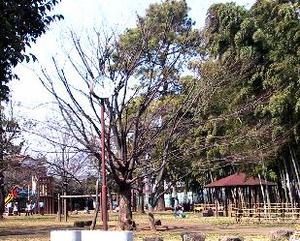 画像11