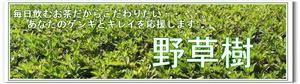 健康茶でゲンキ本舗