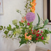 はなのよろずや 花’s