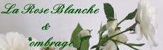 La Rose Blanche(ombrage)