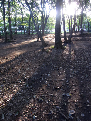 この紹介文の画像