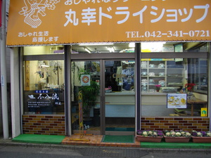 この紹介文の画像